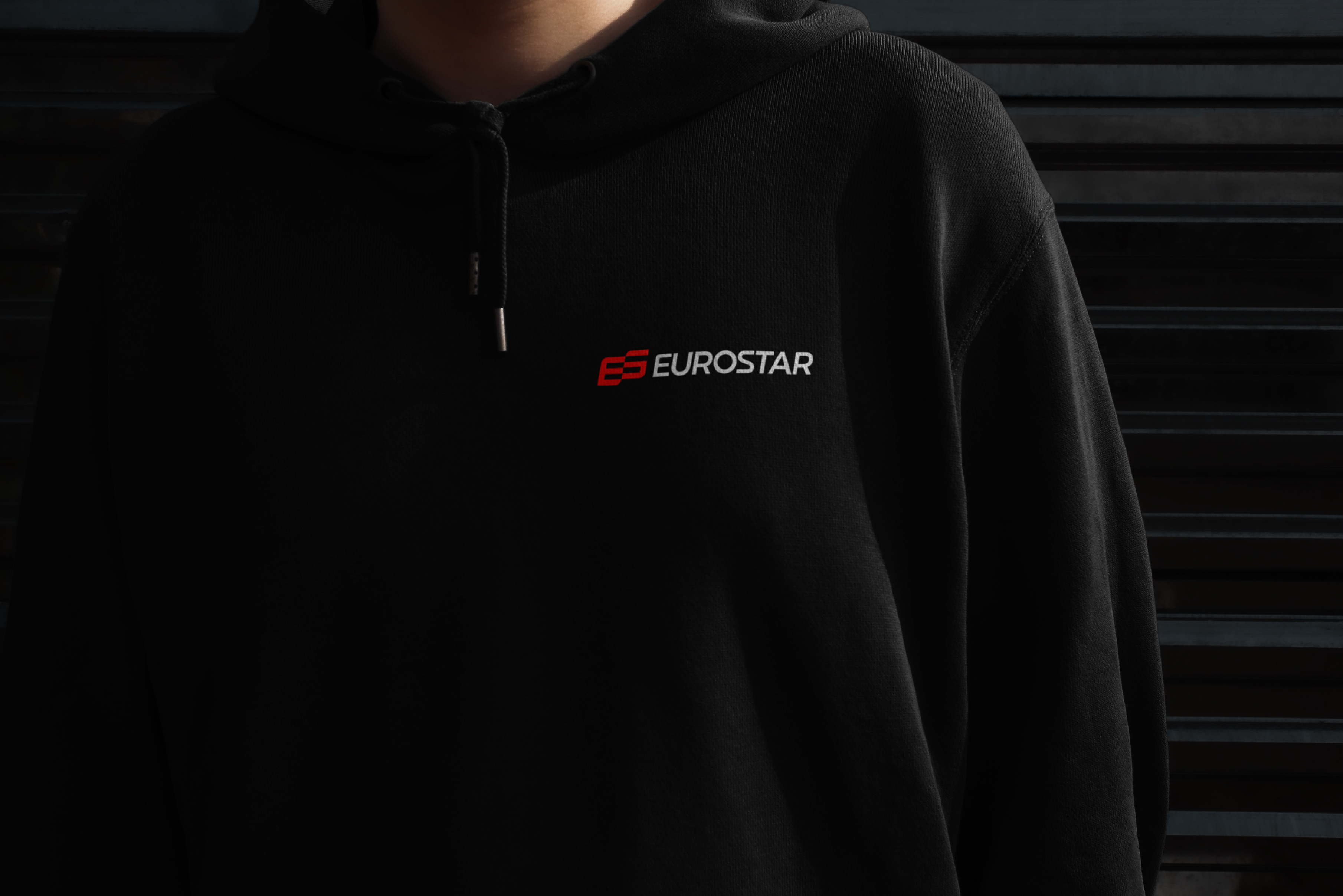 Eurostar brand design brand identity branding car europe exclusive graphic design identity logistic logo racing transport айдентика брендинг логотип фирменный стиль