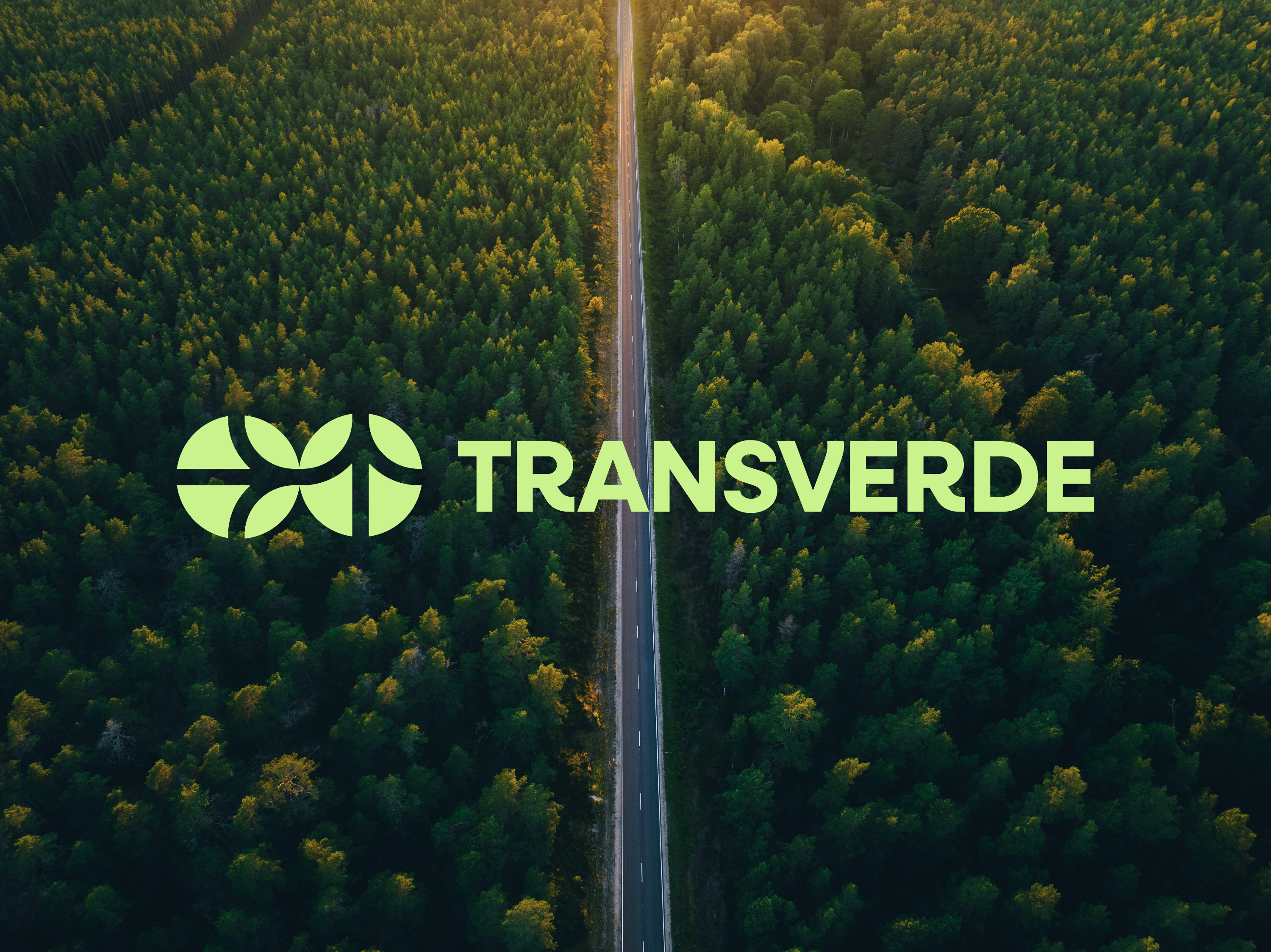 Example of Logo Design Pro