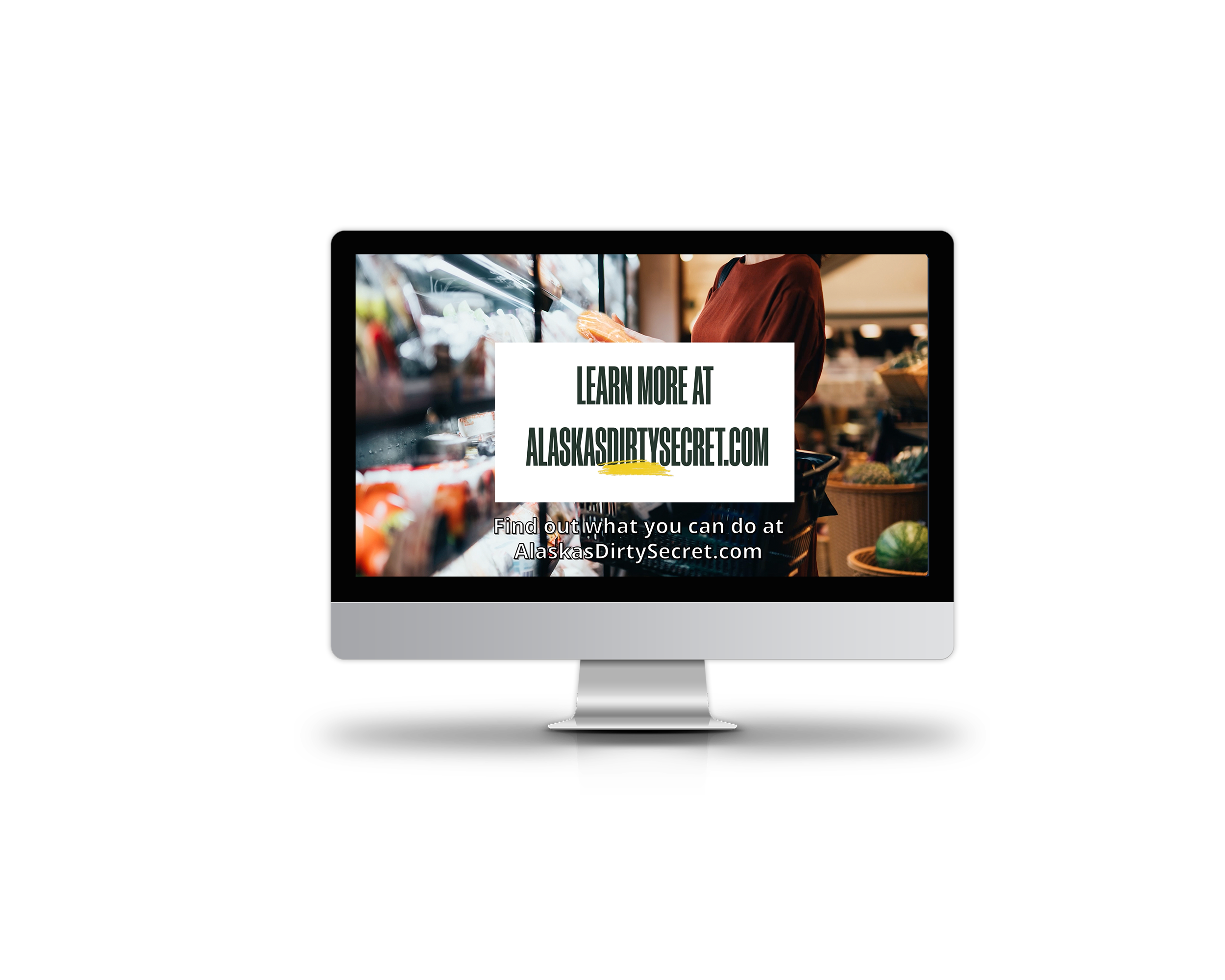 Alaska Salmon ad brand guidelines branding design graphic design marketing matieral video video ad