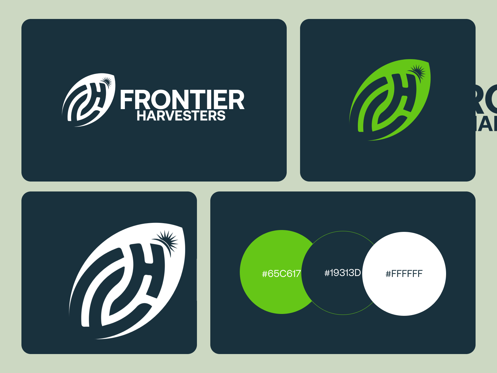 Brand Identity Design for Agribusiness Brand brand brand design brand guidelines brand identity branding colors company logo creative logo graphic design icons logo logo design logos logotype minimalist logo modern logo visual design visual identity