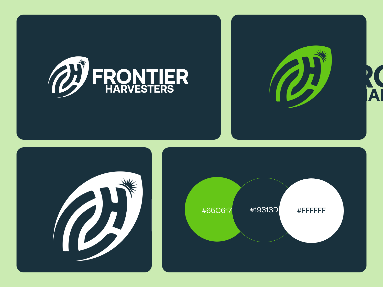 Example of Professional Logo Design 