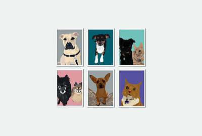 Illustrated Pet Portraits animation design graphic design illustrate illustration pet portraits portraits procreate
