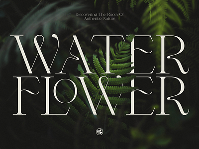 Waterflower branding design graphic design illustration logo stefanbabalau typography ui vector