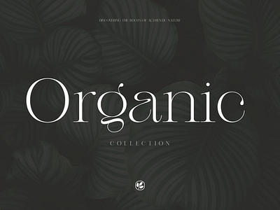 Waterflower Organic branding design graphic design illustration logo minimalism minimalist organic stefanbabalau typography ui ux vector