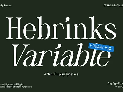 DT Hebrinks Typeface branding branding font design fashion font free font serif serif typeface social media typeface variable font