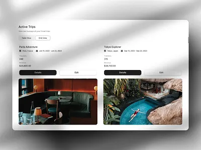 Minimal Travel Management Dashboard responsive ui travel tech