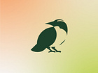Example of Shot