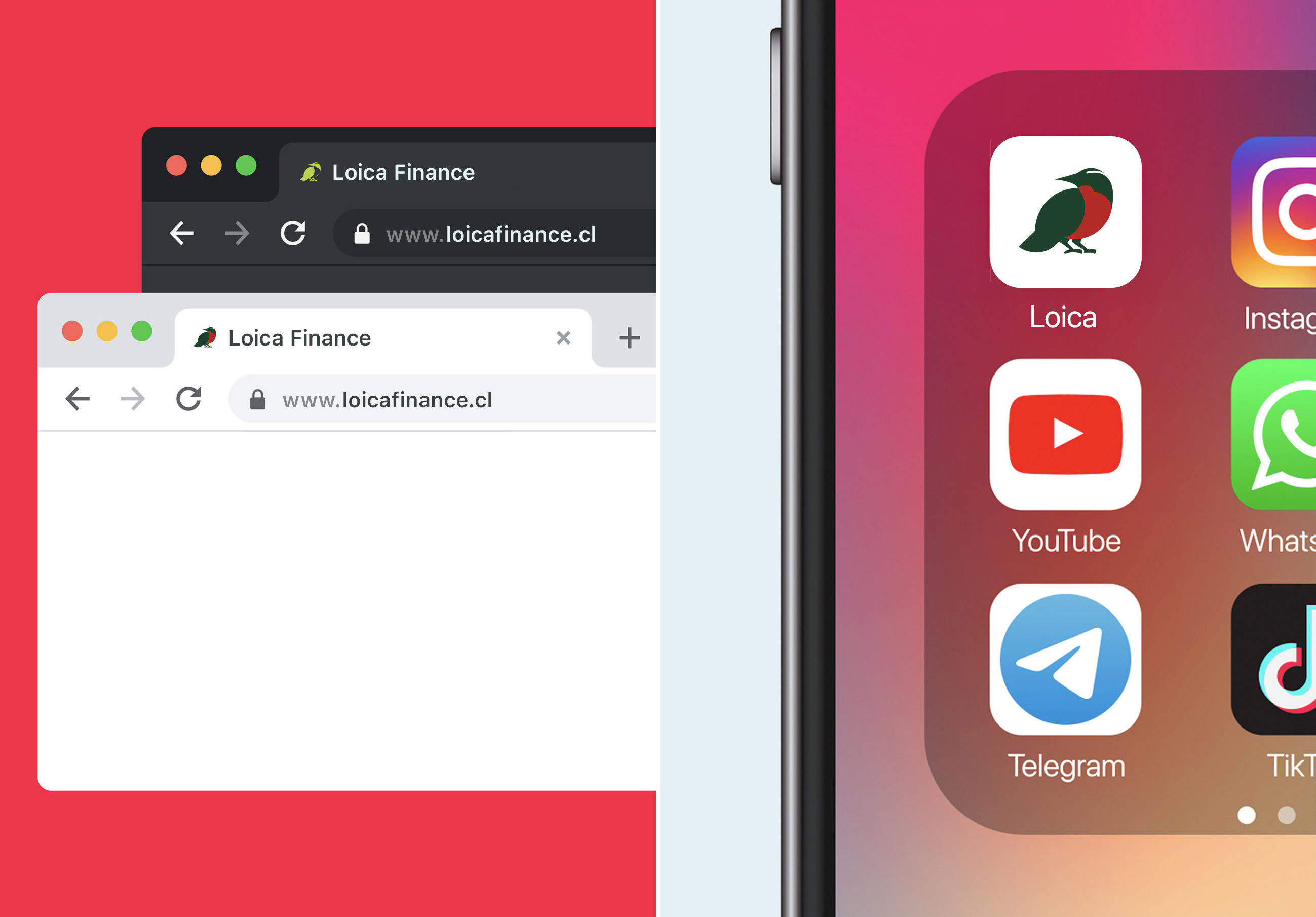 Example of Visual Identity