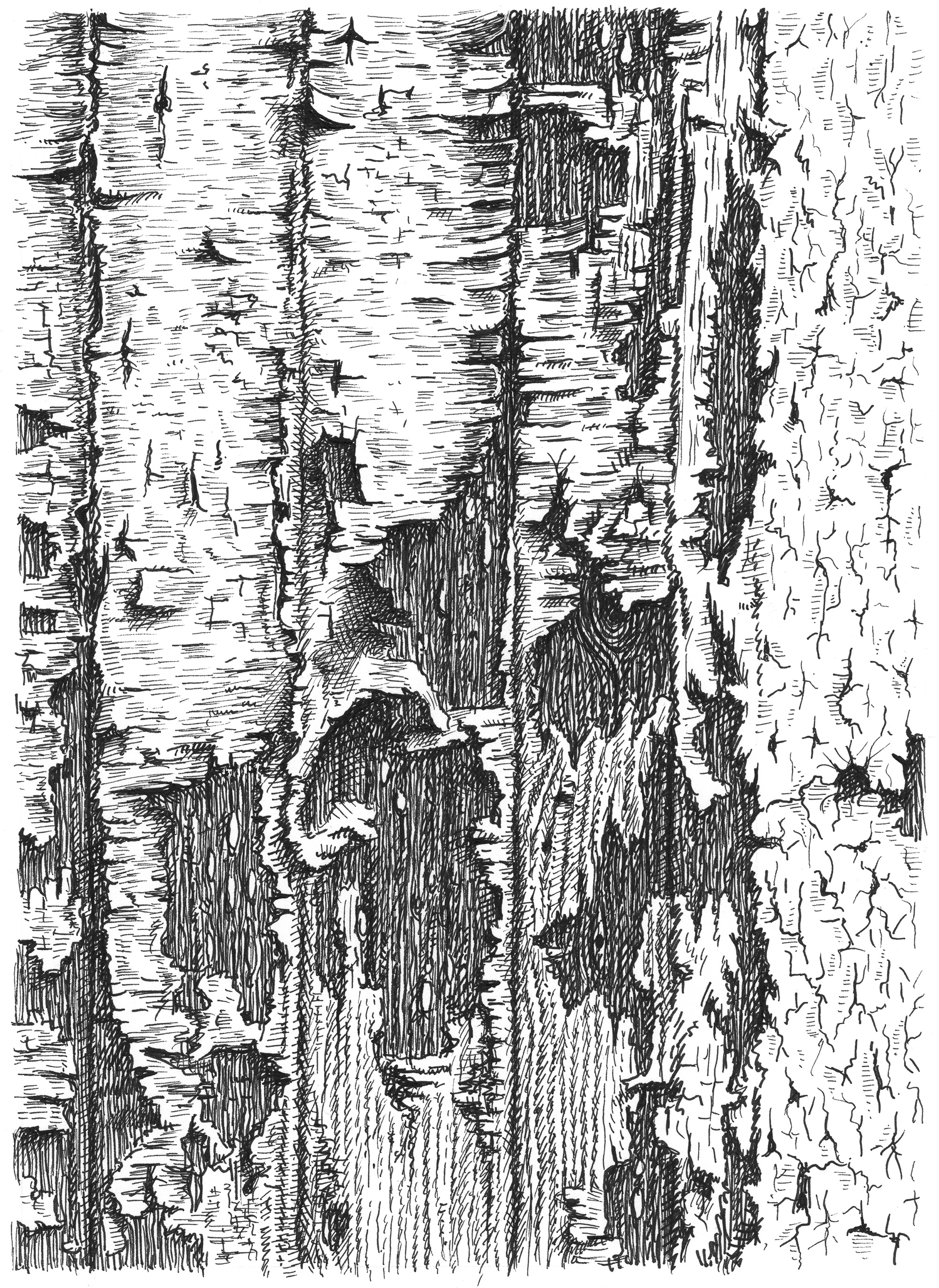 Peeling art artist artwork drawing hand drawn illustration ink texture