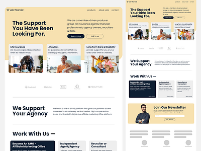 Valor Financial Website Design branding digital design graphic design landing page ui website website design