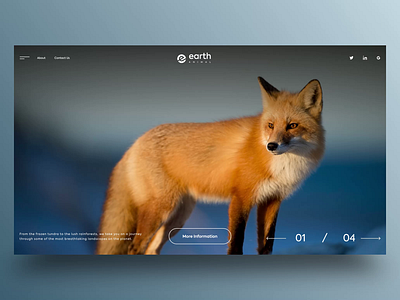 Earth Animal adventure animals animation clean daily design discover forest landing motion nature typography ui ui design uiux web web design wildlife zoo