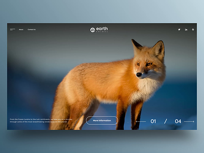 Earth Animal adventure animals animation clean daily design discover forest landing motion nature typography ui ui design uiux web web design wildlife zoo