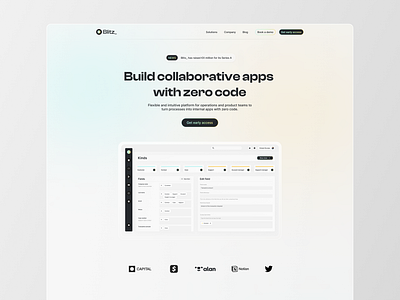 Blitz Light theme branding design landing page linear typography ui ux