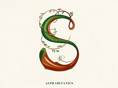S for Alphabetanics 36 days of type 36daysoftype daily challenge illustration procreate typography challenge