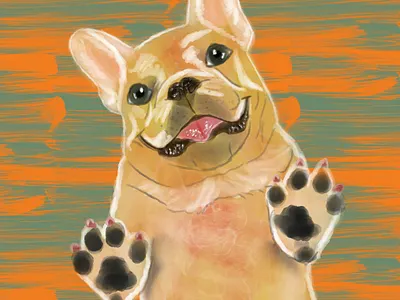 Dog Lovers’ Collection: Illustrated Pooches graphic design illustration vector иллюстратор