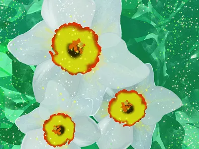 Whimsical Flowers: A Series of Floral Illustrations flowers graphic design illustration иллюстратор