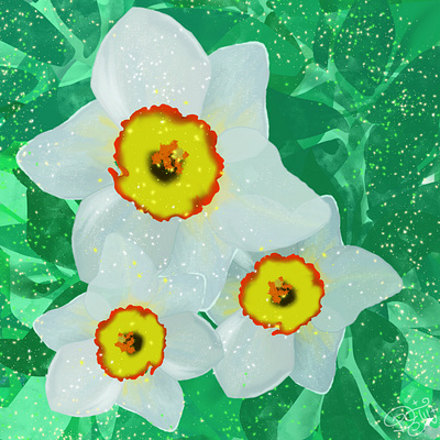 Whimsical Flowers: A Series of Floral Illustrations flowers graphic design illustration иллюстратор