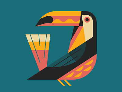 Toucan bird digital folioart illustration nick slater vector wildlife