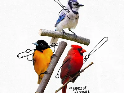 Birds of Baseball animals baseball bird with arms birds cute illustration nature sports