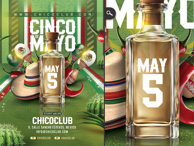 Cinco De Mayo Celebration Party Flyer mexico
