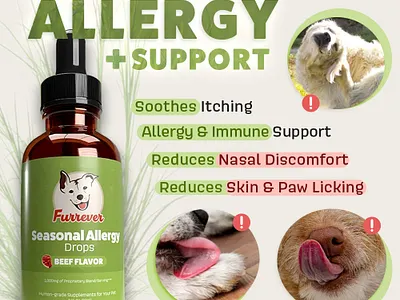 Assesment Project for e-commerce brand desiggn ecommerce post still image design