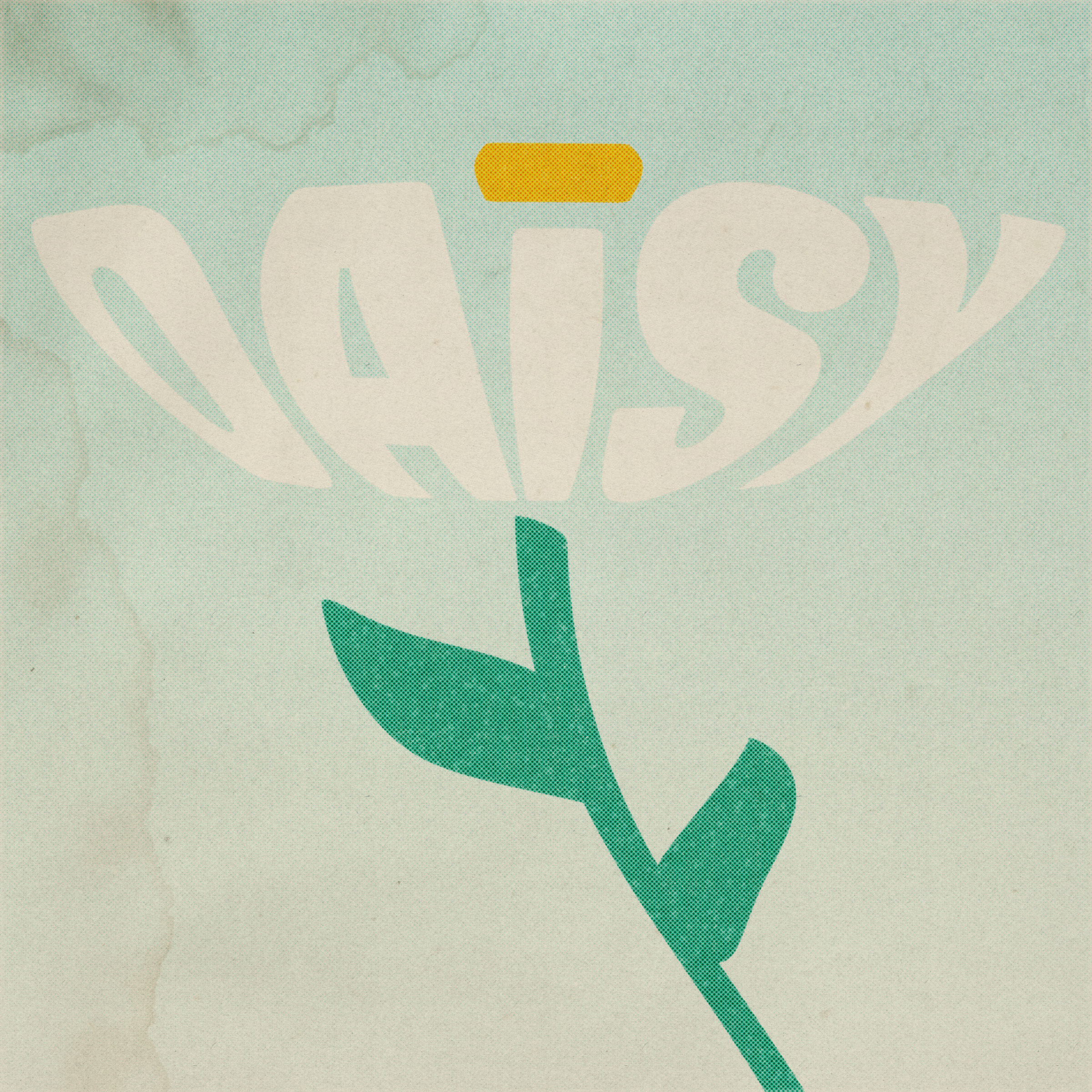 Daisy aged flower print