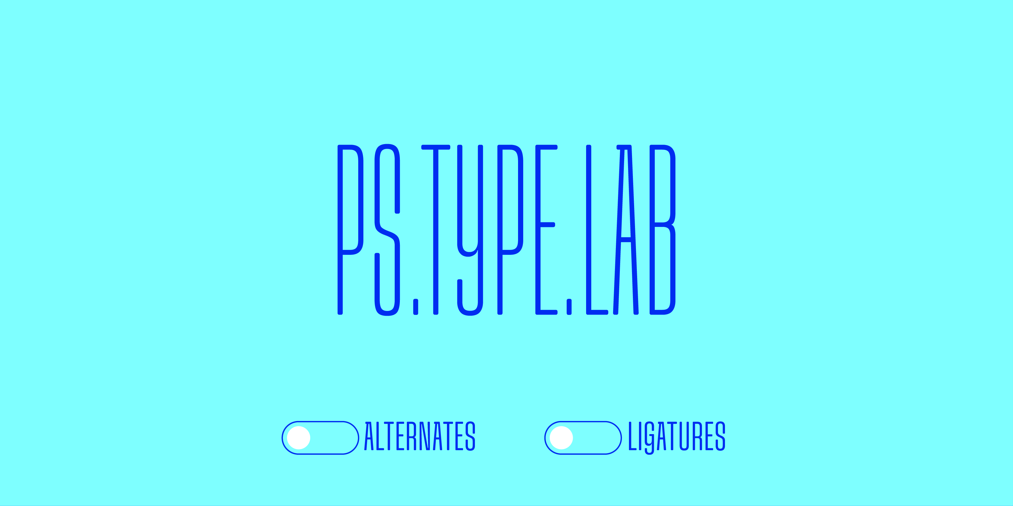 Snug is Available Now display font fonts new release type typeface typography variable variable font vf