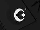 Example of Shot
