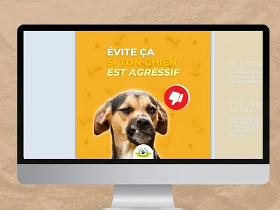 Carrousels branding carrousel community manager creation design facebook illustration instagram linkedin