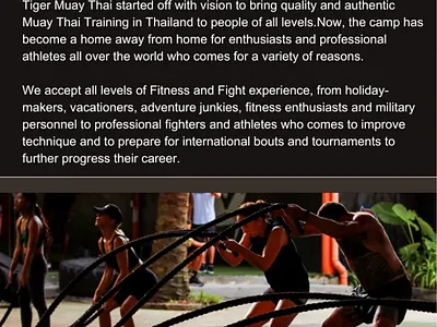 EMAIL DESIGN FOR TIGER MUAY THAI beefree breevo canva email design digital marketing email design email template graphic design illustration klaviyo mailchimp stripo