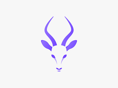 Antelope Illustration branding illl illustration