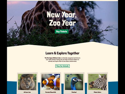 The Zoo Website Redesign animals branding graphic design ui ux web design zoo