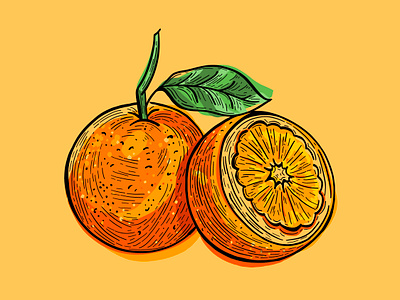 Orange Packaging Illustration beauty brand branding citrus cosmetics design digital illustration drawing fruit healthy illustration illustration art ingredients label lino nature orange organic packaging wood carving