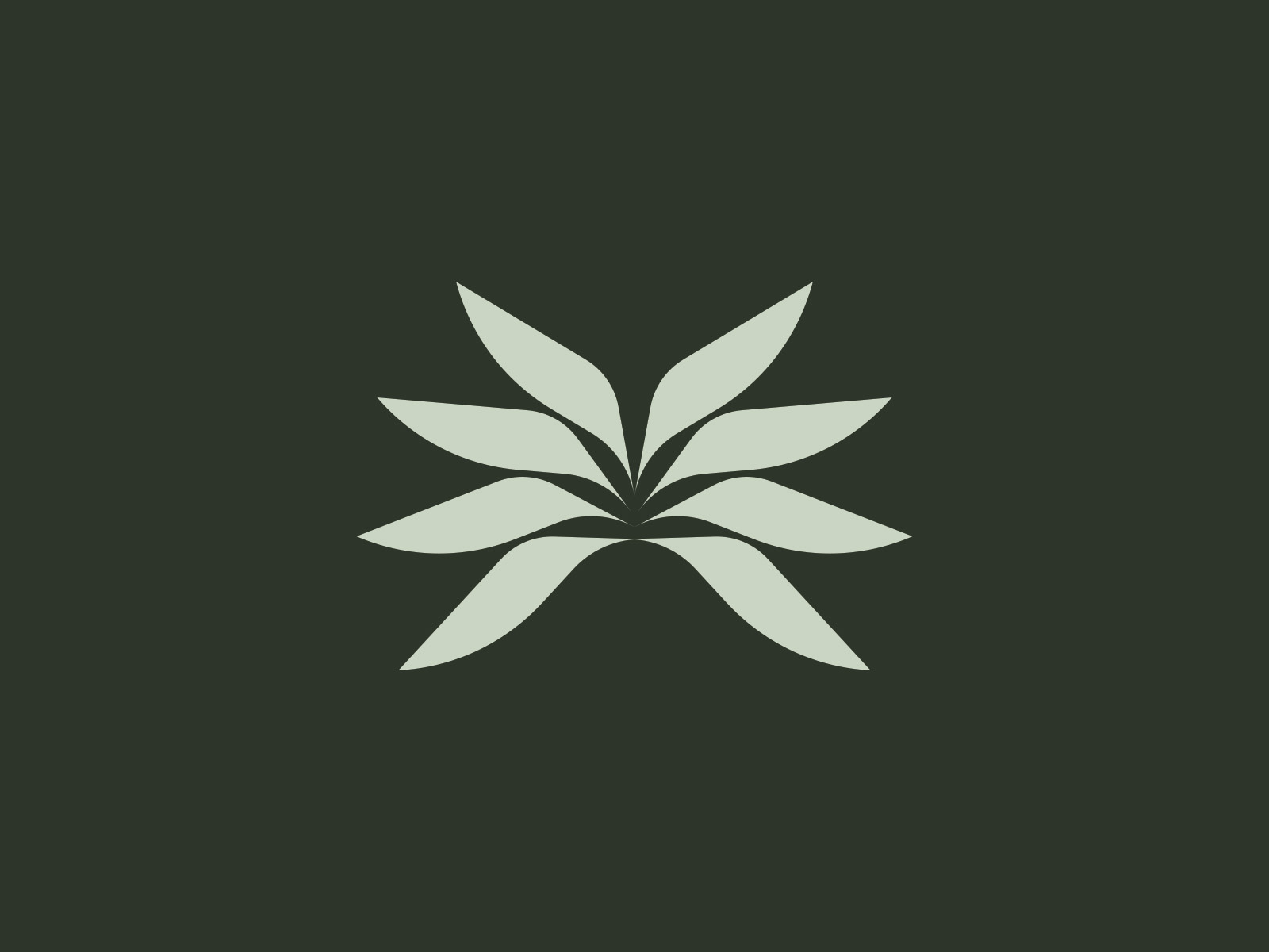 Example of Custom Logo Design