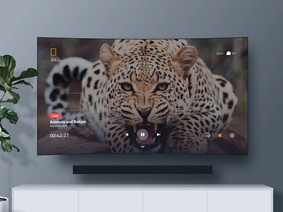 IPTV-Live TV Player Page🔥 androidtv app dark design iptv live live tv movie music radio smart tv stream trend tv ui uidesign uiux web web design website