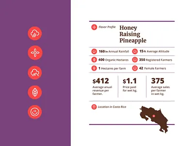 Baby Sloth Cacao branding cacao chocolate cocoa costa rica icon icons identity illustration logo logotype mark