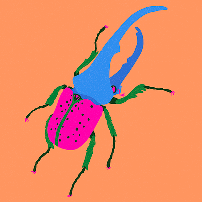 Rhinoceros Beetle beetle colourful design digital art illustration insects nature procreate
