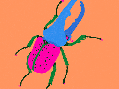 Rhinoceros Beetle beetle colourful design digital art illustration insects nature procreate