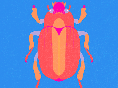Scarab Beetle beetle colourful design digital art illustration insects nature procreate