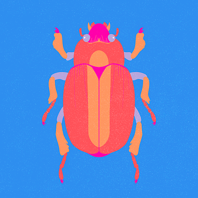 Scarab Beetle beetle colourful design digital art illustration insects nature procreate