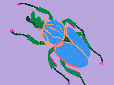 Goliath Beetle beetle colourful design digital art illustration insects nature procreate