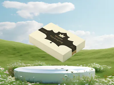 Package design for gift pack box creative design minimal mockup modern package package design packaging