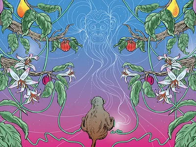 Philosophy Now issue 164 illustration digital art drawing figurative hand made illustration illustrator magazine photoshop publishing traditional art