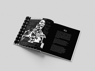 Layout Concept #9 editorial design graphic design