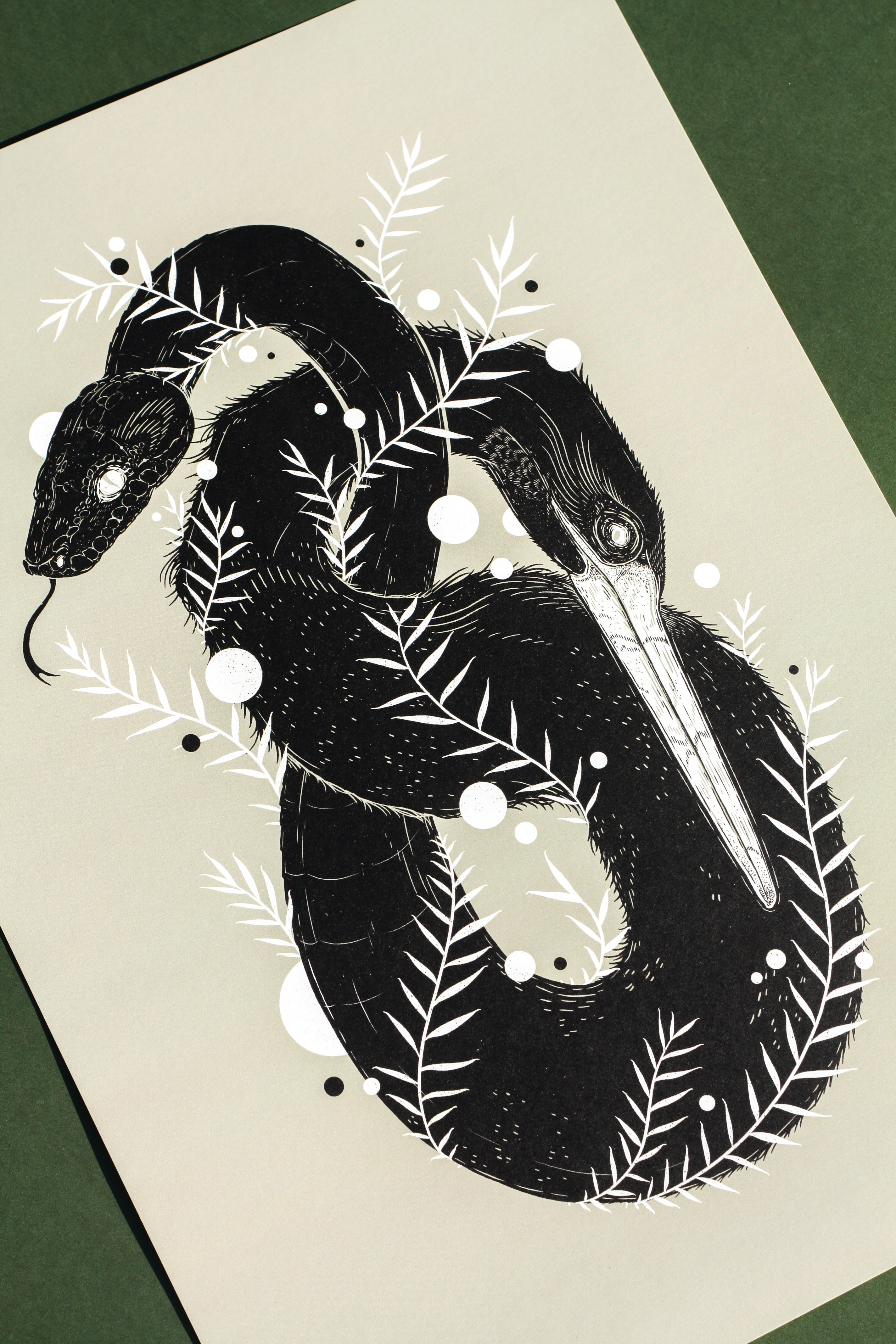 Art Print - Snake & Cormorant bird botanical cormorant design digital drawing digital illustration illustration illustrator nature procreate snake