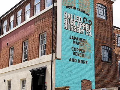 Balled & Burlapped Nursery Co. ad advertising brand branding creative direction design ghost wall graphic design illustration inspiration logo outdoor vector visual design visual identity