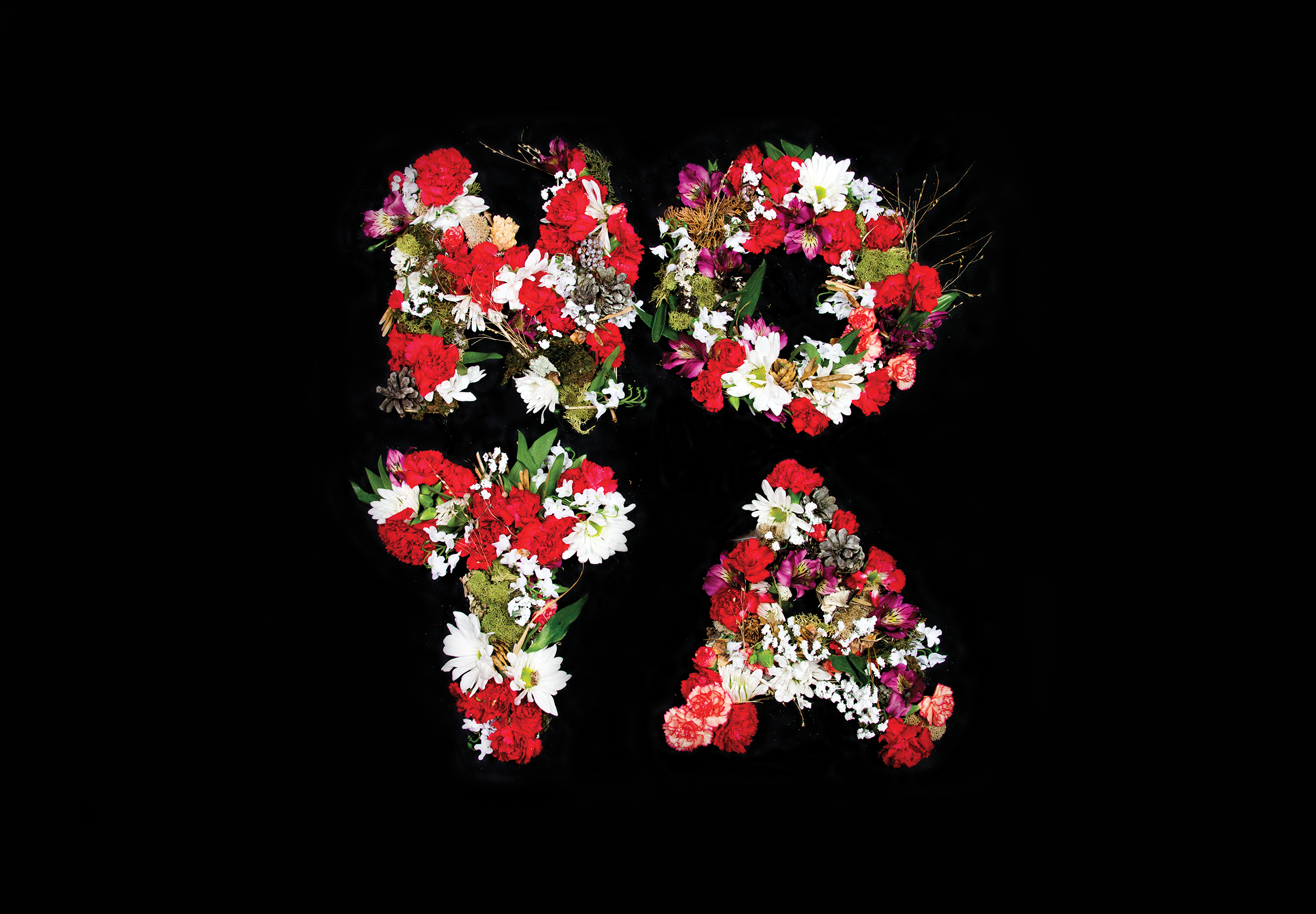 NOTA art black bloom design floral flowers graphic design layout literature magazine mockup music none of the above nota photo print uwec zine