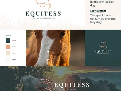 Equitess branding branding horse vet veterinarian