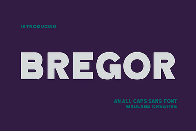 Bregor Sans Display Font animation branding design font fonts graphic design illustration logo nostalgic sans font sans serif