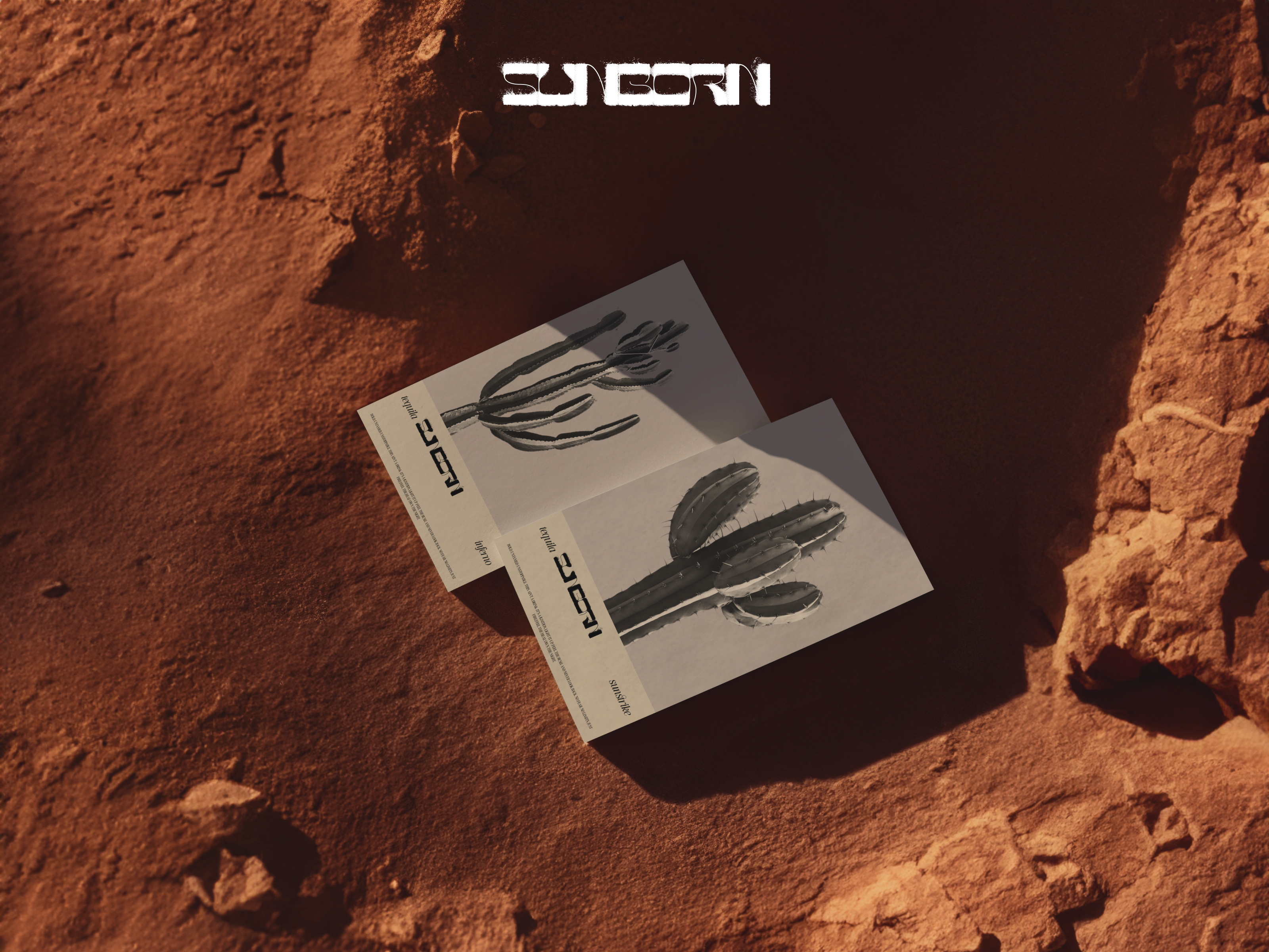 SUNBORN // Website animation blacklead clean landing landing page luxury responsive ui visual web website